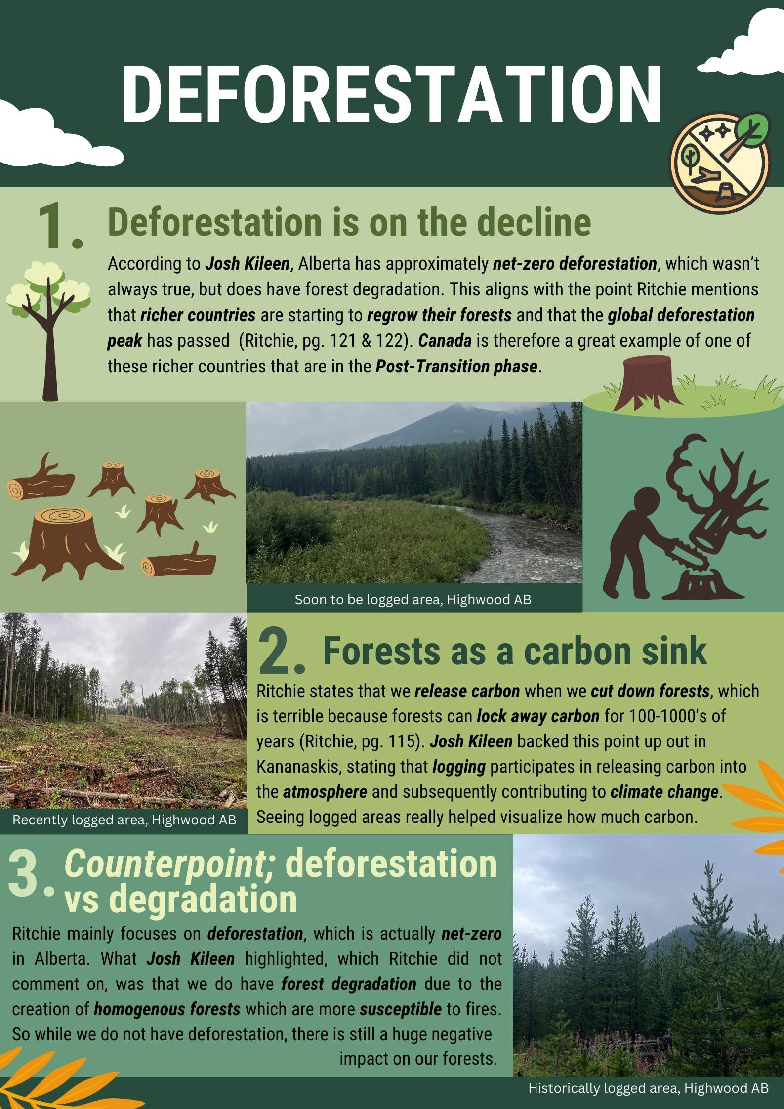 deforestation